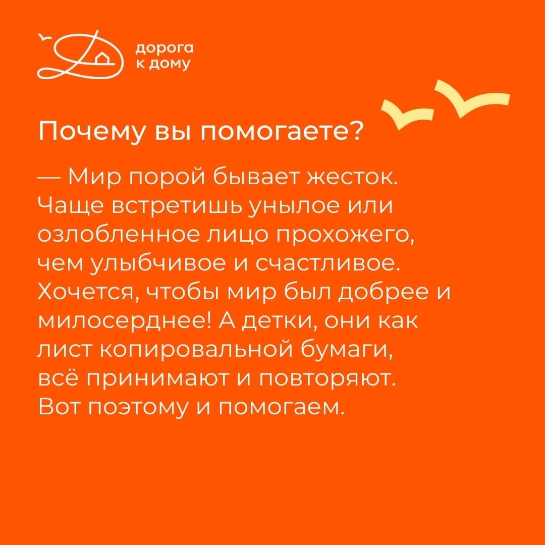 zozcrl3n39e.jpg