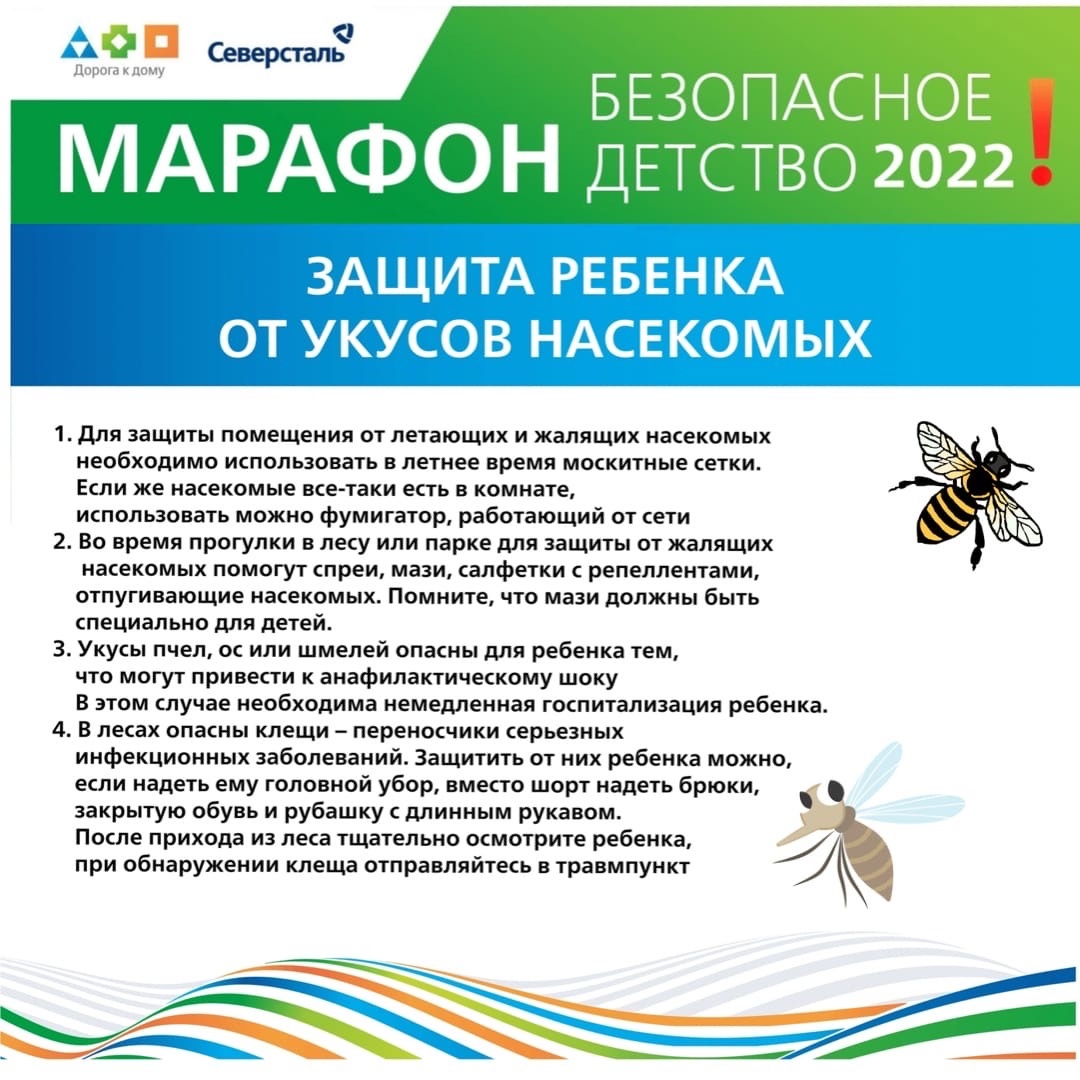 nasekomye.jpg nasekomye.jpg