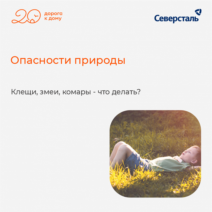 Правильная подготовка сделает ваш отдых на природе безопасным!